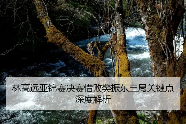 林高远亚锦赛决赛惜败樊振东三局关键点深度解析